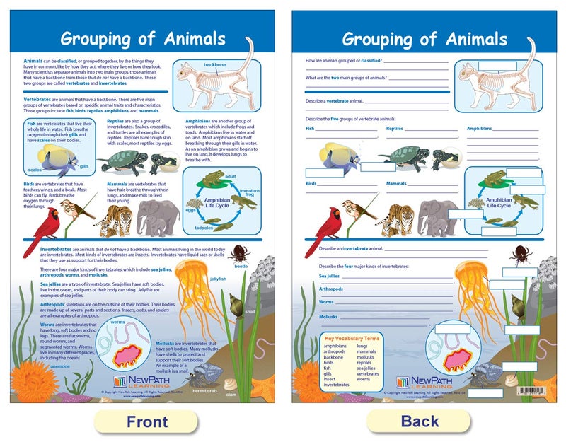 New Path Learning NewPath Learning - 94-3502 The Six Kingdoms Bulletin Board Charts, 12 x 18 Inch, Full Color, Set of 5 - Image 3